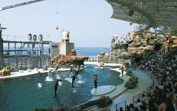 🐠 키노사키 마린월드 이미지 5